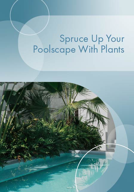 spruce-up-your-poolscape-with-plants-banner-m