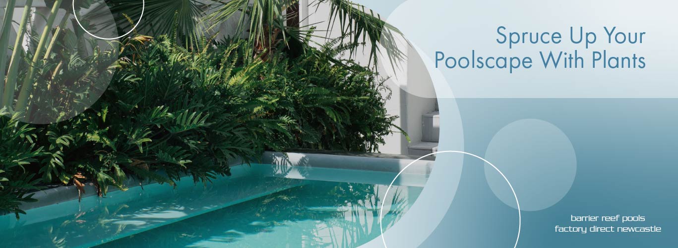 spruce-up-your-poolscape-with-plants-banner