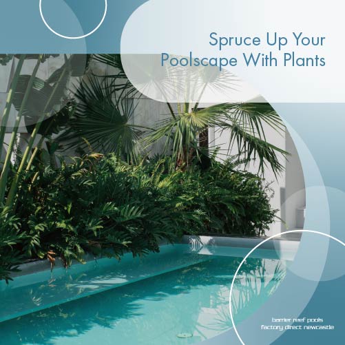 spruce-up-your-poolscape-with-plants-featuredimage