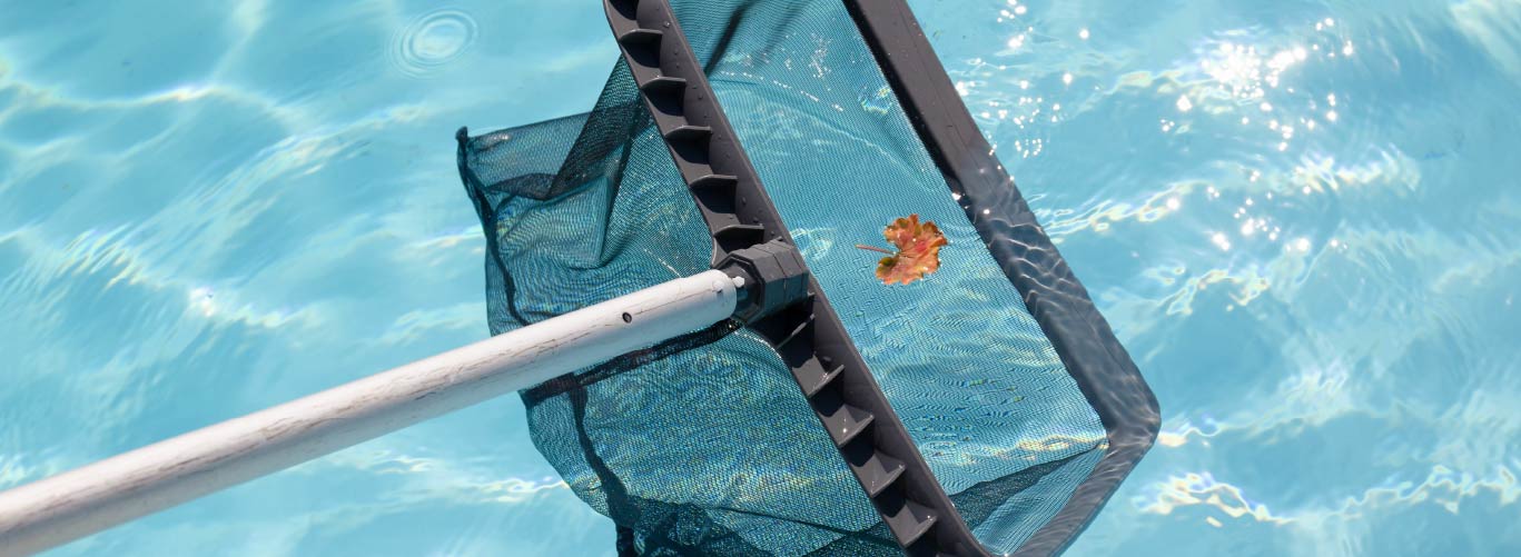 the-ultimate-guide-to-pool-skimmers-blogimage1