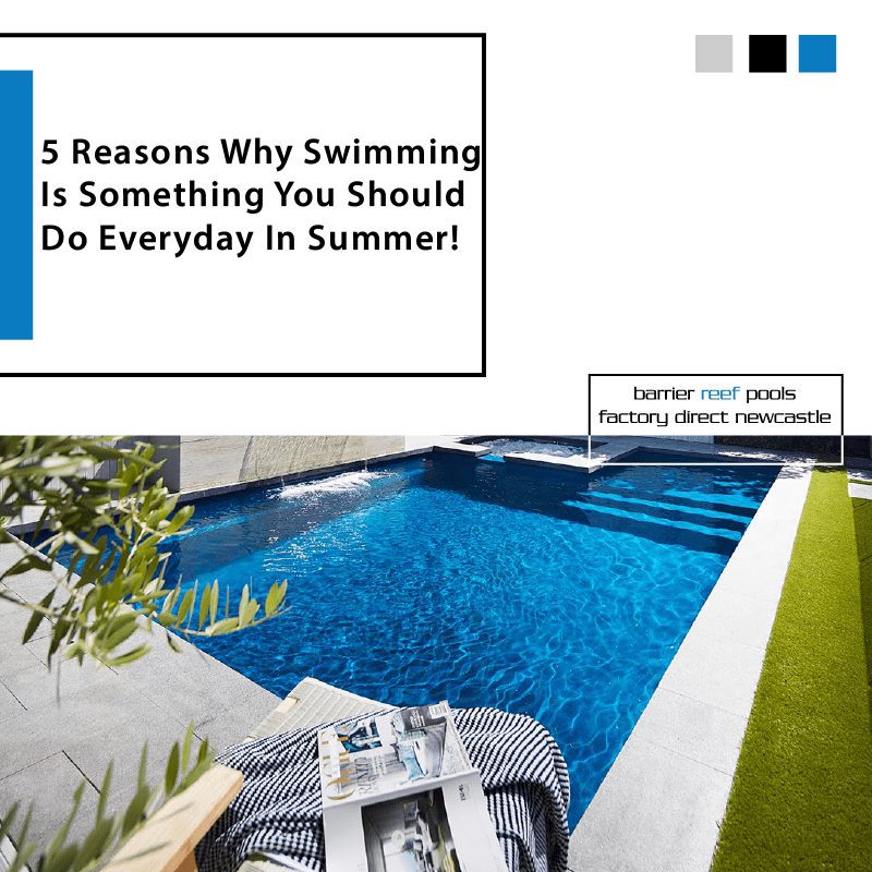 Why Do Pool 5 Reasons Why Swimming Is Something You Should Do Everyday In Summer ...